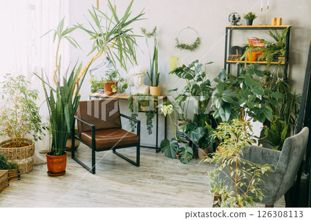 A fragment of the interior with a variety of indoor plants and plaster sculptures. Urban jungle concept. Biophilia design. A fragment of the interior with a variety of indoor plants and plaster sculptures. Urban jungle concept. Biophilia design. 126308113