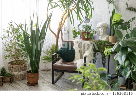 A fragment of the interior with a variety of indoor plants and plaster sculptures. Urban jungle concept. Biophilia design. A fragment of the interior with a variety of indoor plants and plaster sculptures. Urban jungle concept. Biophilia design. 126308116
