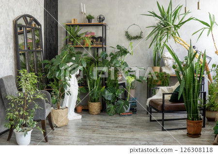 A fragment of the interior with a variety of indoor plants and plaster sculptures. Urban jungle concept. Biophilia design. A fragment of the interior with a variety of indoor plants and plaster sculptures. Urban jungle concept. Biophilia design. 126308118