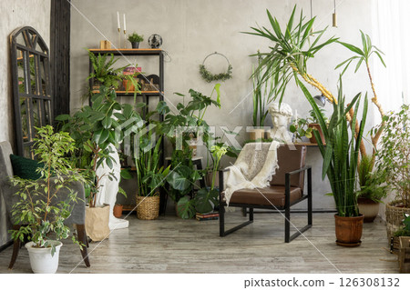 A fragment of the interior with a variety of indoor plants and plaster sculptures. Urban jungle concept. Biophilia design. 126308132