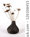 Ceramic vase on white background 126308455