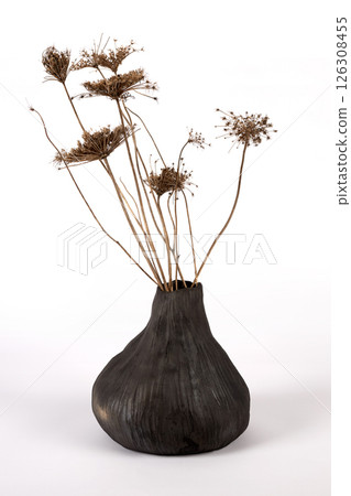 Ceramic vase on white background Ceramic vase on white background 126308455