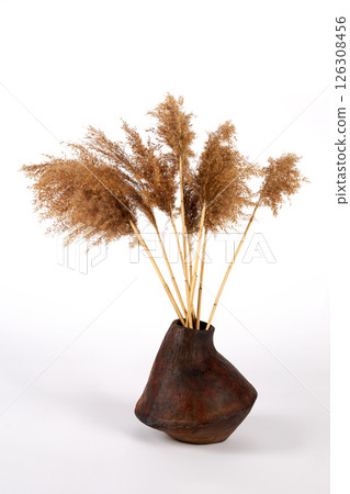 Ceramic vase on white background 126308456