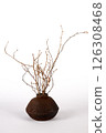 Ceramic vase on white background 126308468