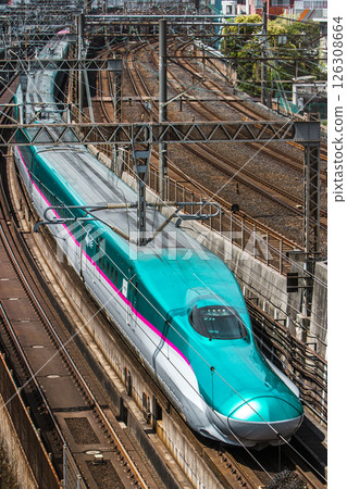 JR東E5系列東北新幹線隼鳥 126308664