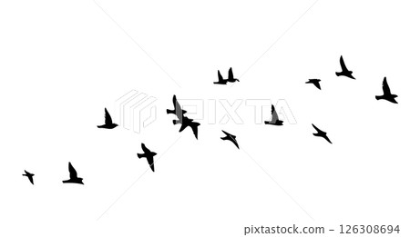 Flying birds silhouette flock. hand drawing. Not AI. Vector illustration 126308694