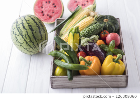 Summer vegetable 126309360