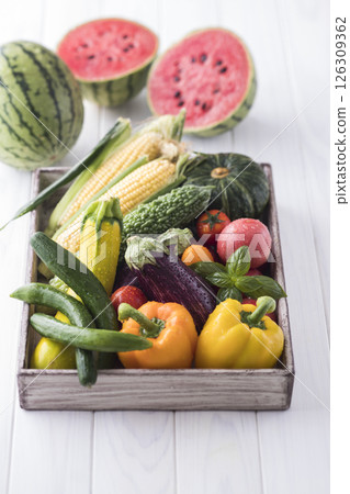 Summer vegetable Summer vegetable 126309362