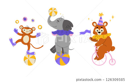 Enjoy the spectacle of circus animals performing tricks with colorful props, captivating audiences 126309385