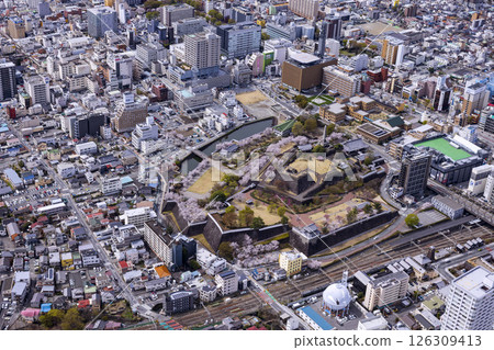 Maizuru Castle Park and Kofu cityscape - Aerial view 126309413