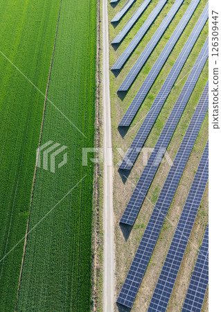 Aerial view of solar power station and green agricultural field. Sustainable development. 126309447