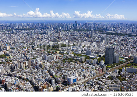 Cityscape: View of downtown from above Takadanobaba 126309525