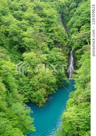 Fudo Falls (Kawarayu, Naganohara-cho, Agatsuma-gun, Gunma Prefecture) Fudo Falls (Kawarayu, Naganohara-cho, Agatsuma-gun, Gunma Prefecture) 126309628