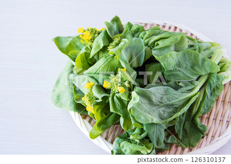 衣服 衣服 126310137