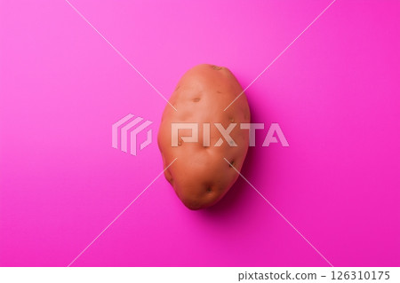 A single brown potato with an irregular surface sits centered on a bright pink background, casting a soft shadow 126310175