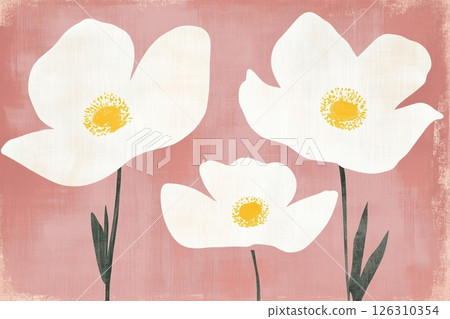 Three white flowers with gentle brushstrokes and soft yellow centers bloom against a muted pink textured surface 126310354