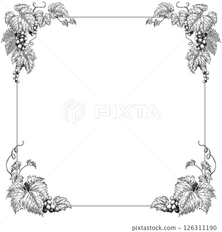 Pen drawing grape frame material square 126311190