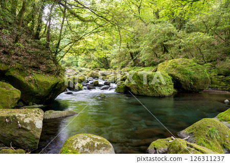 翠綠時的菊池峽美景 翠綠時的菊池峽美景 126311237