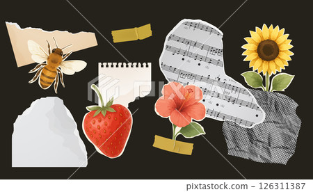 Botanical and musical vintage paper sticker set on black background Botanical and musical vintage paper sticker set on black background 126311387