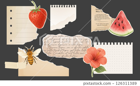Fruit and nature themed paper sticker set on dark background 126311389