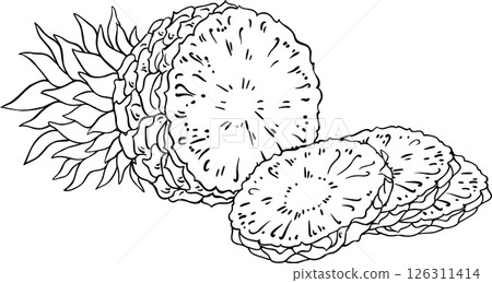 Pineapple Fruit Outline Illustration Pineapple Fruit Outline Illustration 126311414