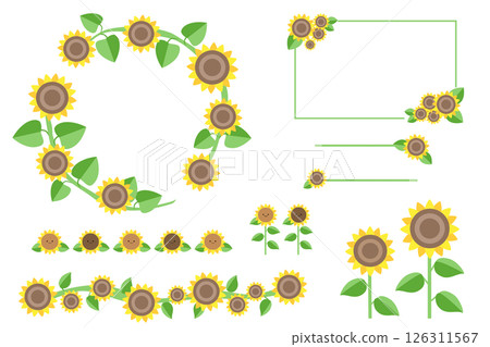 Sunflower flower illustration and frame set (without text) Vector material illustration 126311567