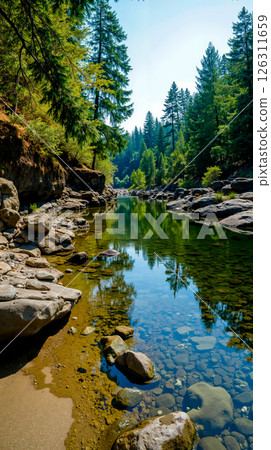 A river with rocks and trees in the background 126311659