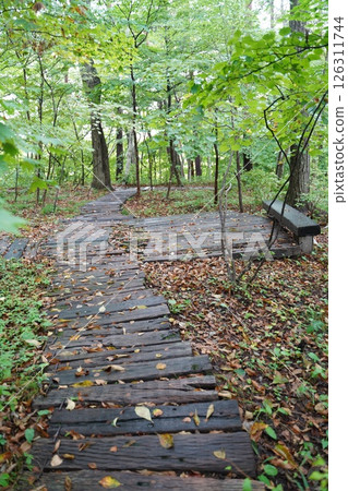 Sleeping path Sleeping path 126311744