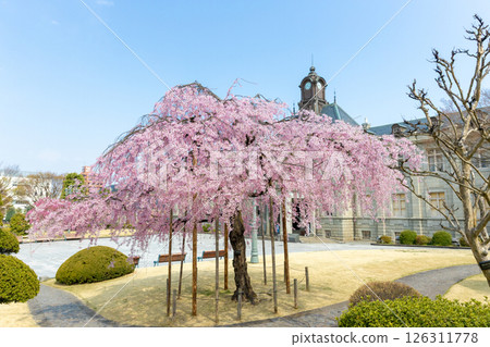 Bunshokan in spring 126311778