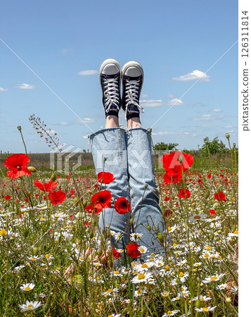 Relaxing in a Field of Poppies and Daisies 126311814