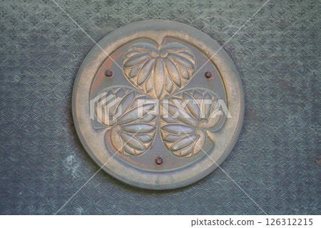 蒼井空的徽章 126312215