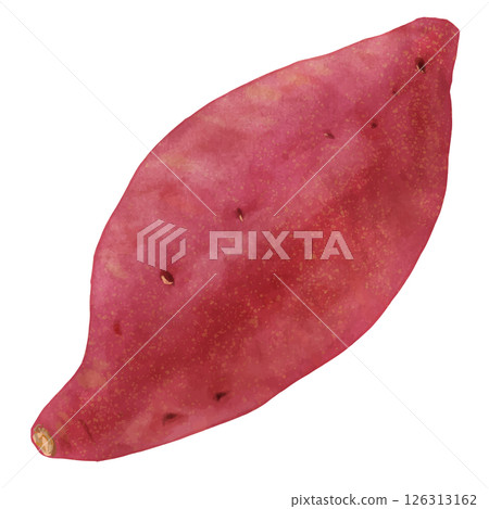 逼真的紅薯/烤地瓜，水彩風格 126313162