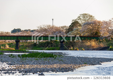 靜岡縣掛川市畑多摩天龍濱名湖鐵道及沿線風景 靜岡縣掛川市畑多摩天龍濱名湖鐵道及沿線風景 126313608