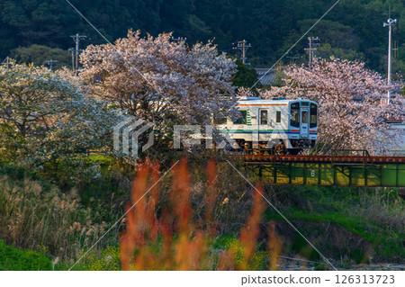 Hatakama, Kakegawa City, Shizuoka Prefecture Tenryu Hamanako Railway and scenery along the line 126313723