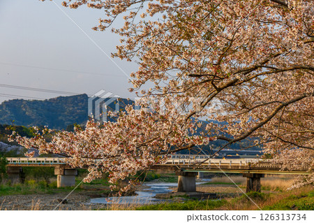 Hatakama, Kakegawa City, Shizuoka Prefecture Tenryu Hamanako Railway and scenery along the line 126313734