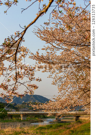 Hatakama, Kakegawa City, Shizuoka Prefecture Tenryu Hamanako Railway and scenery along the line Hatakama, Kakegawa City, Shizuoka Prefecture Tenryu Hamanako Railway and scenery along the line 126313735