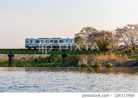 Hatakama, Kakegawa City, Shizuoka Prefecture Tenryu Hamanako Railway and scenery along the line 126313980