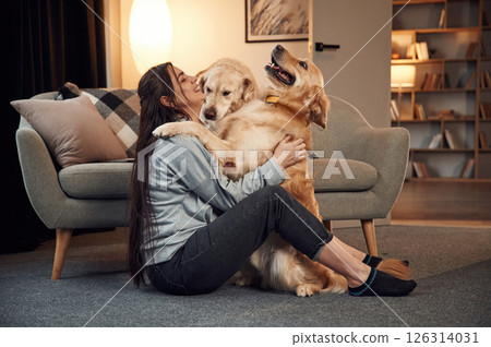 Embracing and having fun. Woman is with two golden retriever dogs at home 126314031
