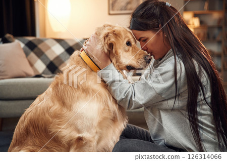 Side view. Having fun, embracing. Woman is with golden retriever dog at home Side view. Having fun, embracing. Woman is with golden retriever dog at home 126314066