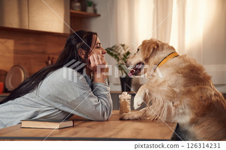 Side view. Sitting by the table together. Woman is with golden retriever dog at home Side view. Sitting by the table together. Woman is with golden retriever dog at home 126314231