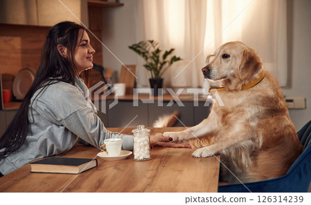 Holding the paw that is on the table. Woman is with golden retriever dog at home Holding the paw that is on the table. Woman is with golden retriever dog at home 126314239