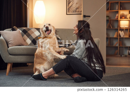 Playing, doing tricks. Woman is with golden retriever dog at home Playing, doing tricks. Woman is with golden retriever dog at home 126314265