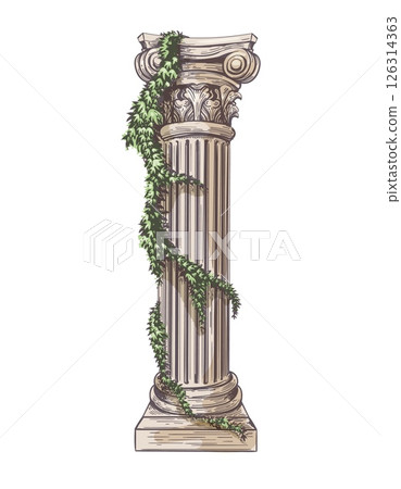 Antique column with ivy sketch 126314363