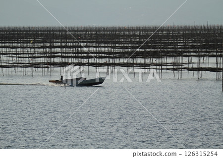大牟田市有明海紫菜場黃昏， 126315254