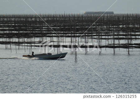 Omuta City Ariake Sea Nori field dusk, 126315255