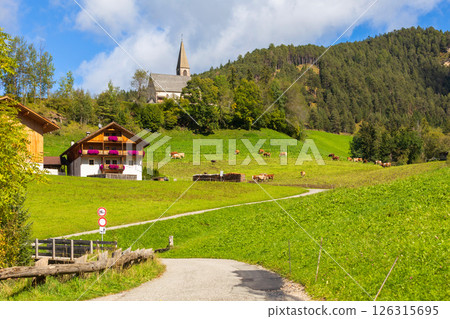 Santa Maddalena hiking path, Dolomites, Italy Santa Maddalena hiking path, Dolomites, Italy 126315695