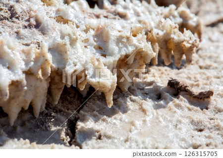 Natural salt stalactites crystals at the Dead Sea Natural salt stalactites crystals at the Dead Sea 126315705