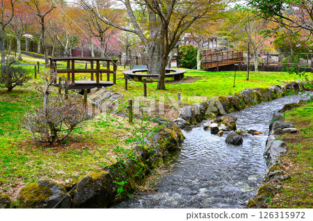 Lake Yamanaka Flower City Park view Lake Yamanaka Flower City Park view 126315972