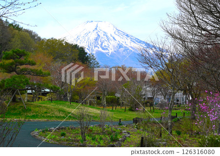 山中湖花城公園景觀 山中湖花城公園景觀 126316080