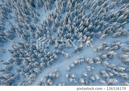 Many of the trees covered in snow. Top aerial view of forest in the Carpathian mountains. Majestic background 126316170